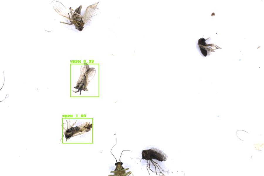 Image 21